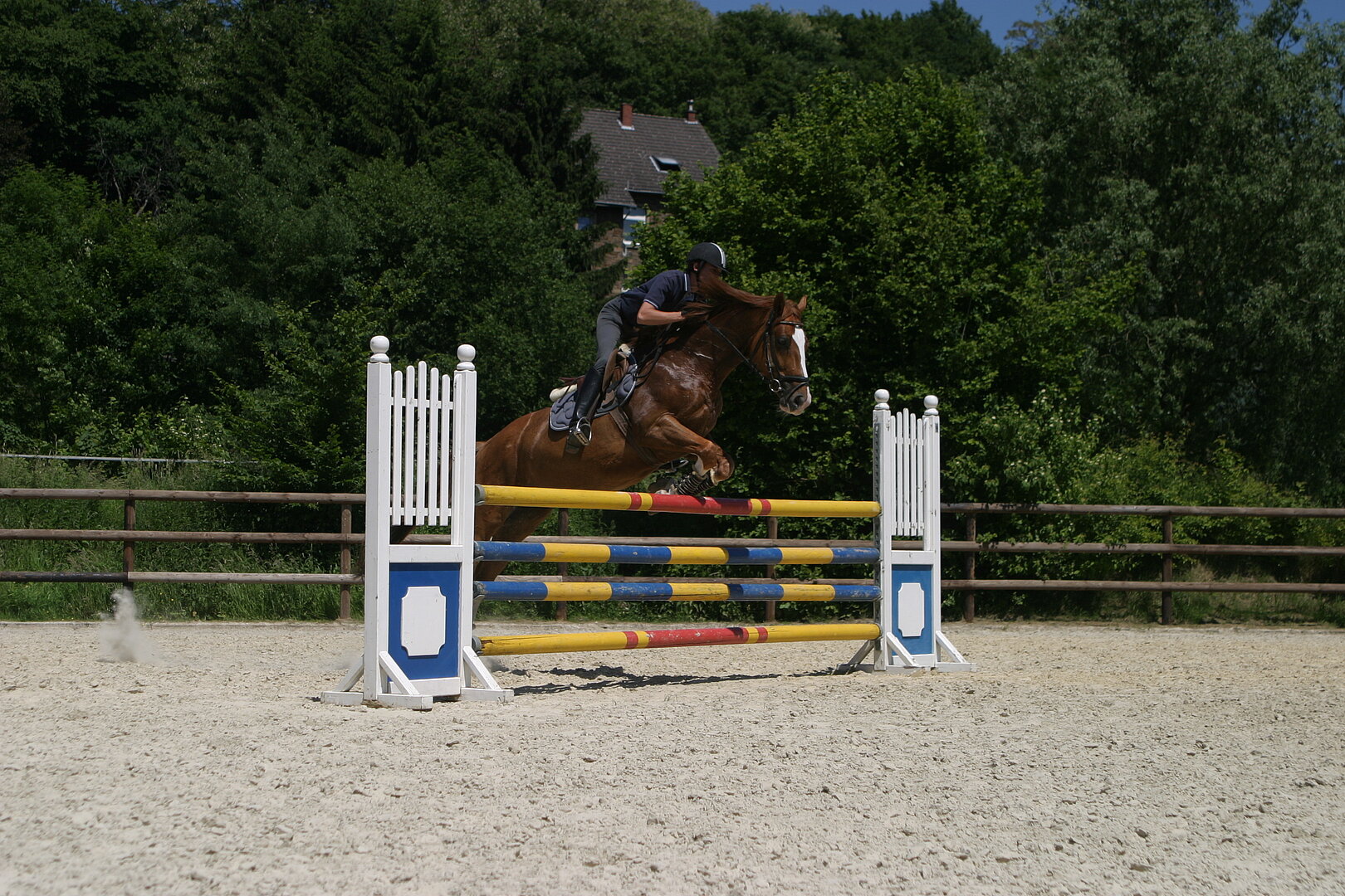 Turniersport